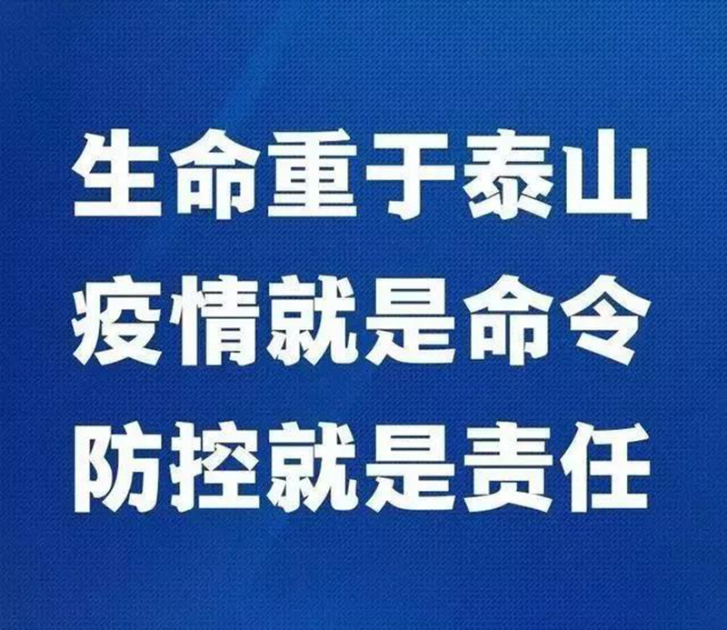 1609574175586351.jpg 11.jpg